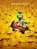 Migration (2023)