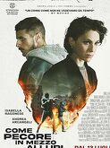 Like Sheep Among Wolves (2023)